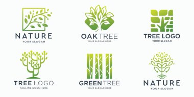Bir ağaç soyut tasarım şablonunun simgesine sahip vektör logoları kümesi.