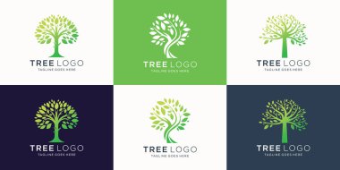 En iyi ağaç logosu koleksiyonları, şirket markaları için mükemmel logolar..