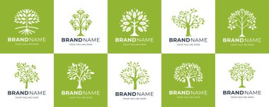 Bir ağaç tasarımı ilhamına sahip bir dizi vektör logosu.