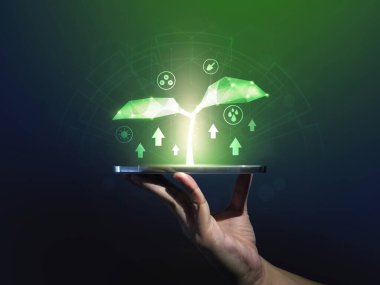 Genç bitkiler filizlenir veya filizlenir. Düşük poligonlu. Tarım yeşil teknolojisi ve bilim konsepti, ekoloji sistemi. Yüksek teknoloji ve fütüristik..