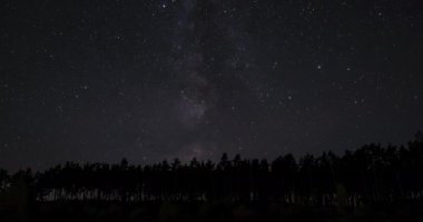 Timelapse of The Milky Way galaxy moves above the silhouettes of trees. Starry night background. Epic video 4K