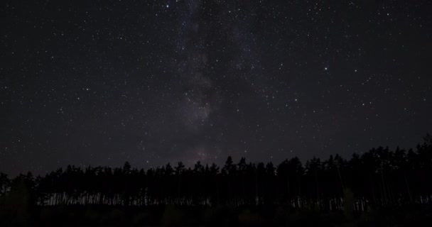 Timelapse Milky Way Galaxy Moves Silhouettes Trees Starry Night Background — Stockvideo