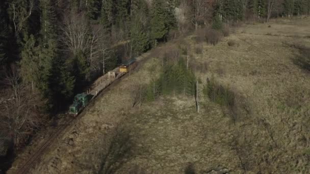 Aerial View Train Rides Railroad Drone Flight Locomotive Carriages Narrow — Wideo stockowe