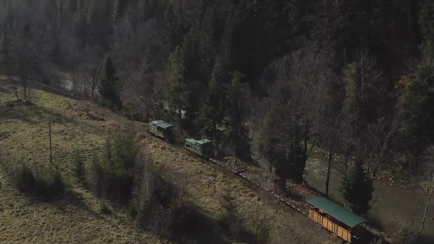 Aerial View Train Rides Railroad Drone Flight Locomotive Carriages Narrow — Vídeos de Stock