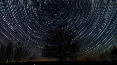 Gece gökyüzünde bir ağacın siluetinin üzerindeki yıldız izleri. Yıldızlar bir kutup yıldızının etrafında döner