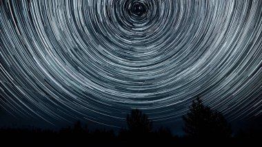 Gece gökyüzünde yıldız izleri. Yıldızlar bir kutup yıldızının etrafında döner. Ağaçların siluetleri