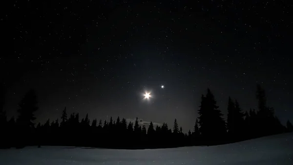 Moon Stars Night Sky Forest Winter — Stock Photo, Image