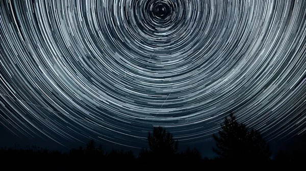 Sternenspuren Nachthimmel Sterne Bewegen Sich Einen Polarstern Silhouetten Von Bäumen — Stockfoto