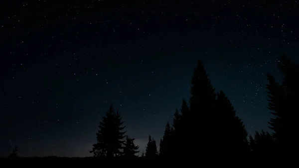 Des Étoiles Dans Ciel Nocturne Sur Des Silhouettes Arbres Constellation — Photo