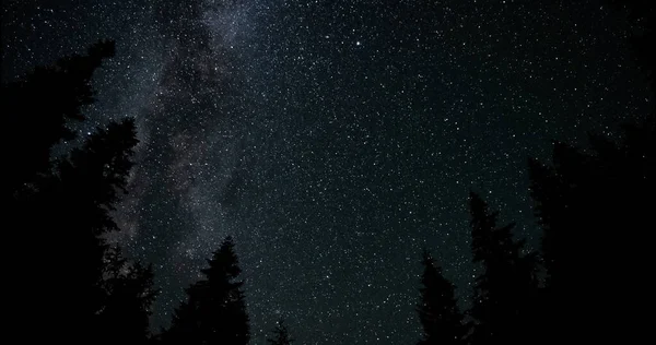 Vintergatans Galax Ovanför Trädens Silhuetter Starry Natt Bakgrund — Stockfoto