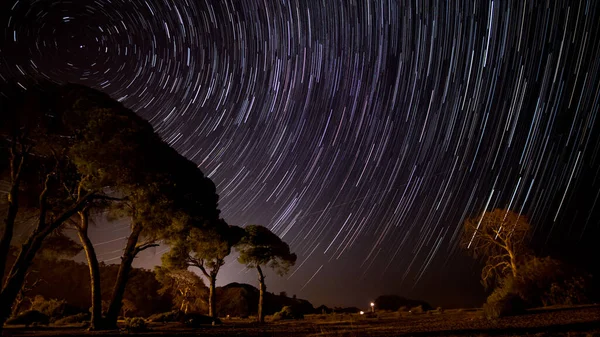 Звездные Тропы Ночном Небе Над Деревьями Звезды Движутся Вокруг Полярной — стоковое фото