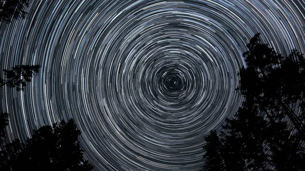 Star Trails Night Sky Stars Move Polar Star Silhouettes Trees — Stock Photo, Image