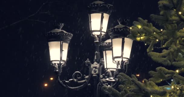 圣诞傍晚的大雪下在一棵圣诞树的背景下 还有一盏旧式明亮的灯笼 — 图库视频影像