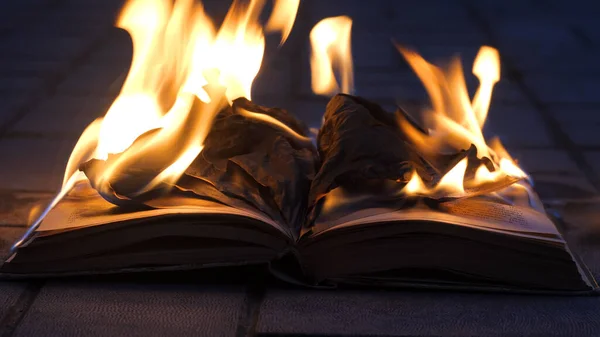 An open book is on fire. Big bright flame, burning paper on old publication in the dark. Book Burning - Censorship Concept
