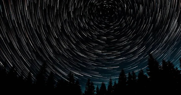 Gece gökyüzünde yıldız izleri. Yıldızlar bir kutup yıldızının etrafında döner. Ağaçların siluetleri