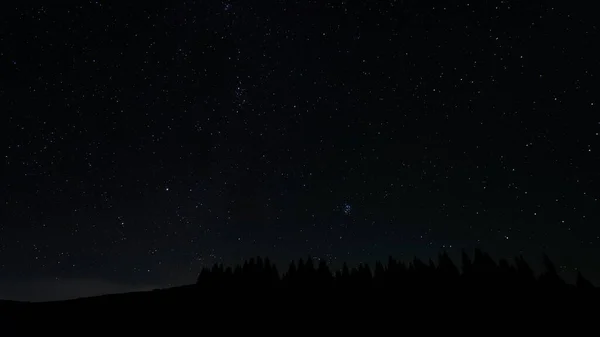 Csillagok Éjszakai Égen Sziluettje Felett Stock Fotó