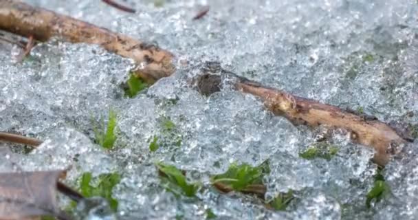 Parlak Eriyen Kar Taneciklerinin Makro Hızlandırılmış Görüntüsü Sıvı Suya Dönüşür — Stok video