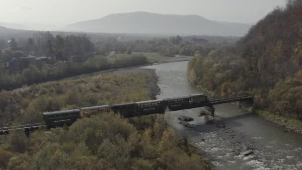 Aerial View Train Traveling Railway Bridge River Drone Flight Locomotive — Wideo stockowe