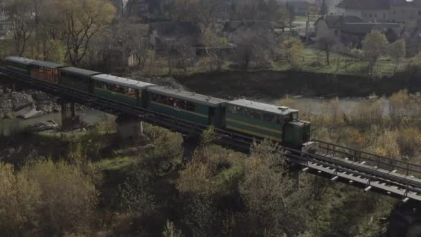 Aerial View Train Traveling Railway Bridge River Drone Flight Locomotive — Stok video