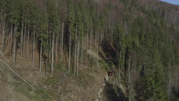 Aerial Flying Top Deforestation Sawn Wood Destruction Nature Ecosystem Peoples — Stockvideo