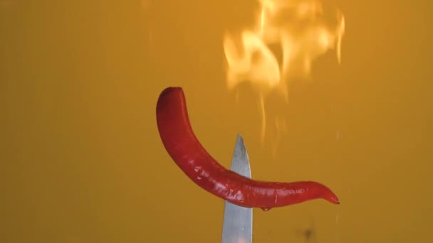 Hot Red Chili Pepper Fork Flames Orange Background Spicy Food — Stock Video