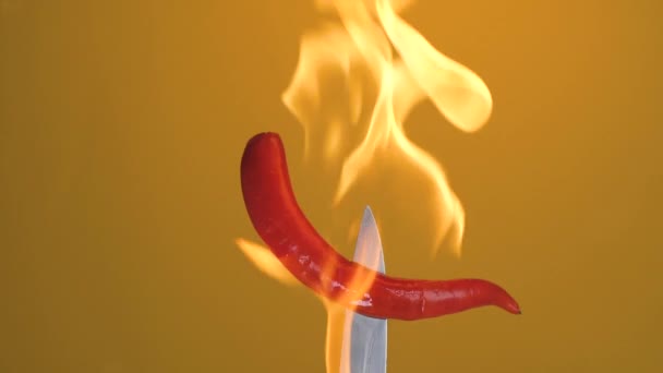 Hot Red Chili Pepper Fork Flames Orange Background Spicy Food — 비디오