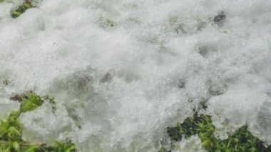 Macro time-lapse shot of shiny particles of melting snow and open green grass and branch. Change of season from winter to spring in the forest.