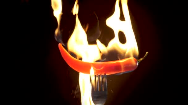 Gorąca Czerwona Papryka Chili Widelcu Płomieniach Czarnym Tle Pikantne Jedzenie — Wideo stockowe