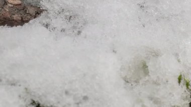 Macro time-lapse shot of shiny particles of melting snow and open green grass and branch. Change of season from winter to spring in the forest.