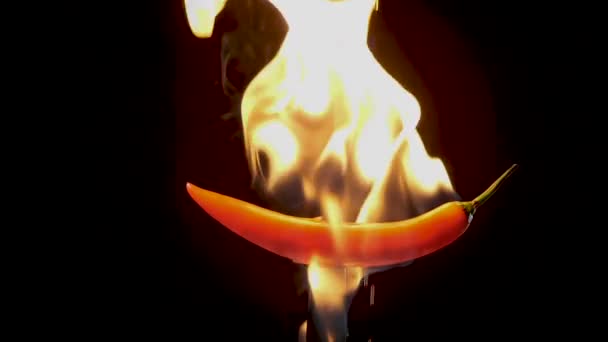 Ardei Iute Roșu Fierbinte Cuțit Flăcări Fundal Negru Conceptul Mâncare — Videoclip de stoc