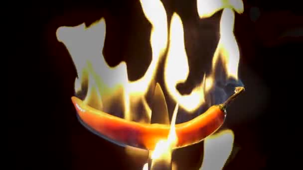 Hot Red Chili Pepper Knife Flames Black Background Spicy Food — Vídeos de Stock