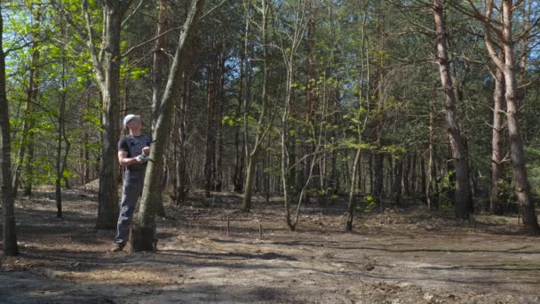 Favágó Fűrészelt Egy Fát Erdőben Fűrészelt Erdőirtása Természet Ökoszisztéma Elpusztítása — Stock videók