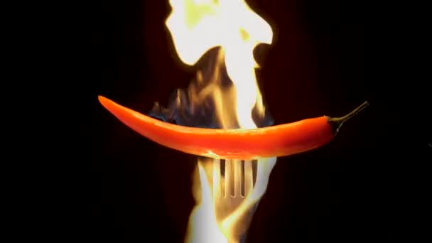 黒の背景に炎のフォークに熱い赤唐辛子 辛い料理のコンセプト スローモーション — ストック動画