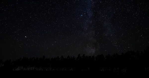 Die Milchstraße Über Den Silhouetten Von Bäumen Sternenhimmel — Stockfoto