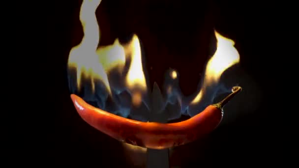 Horká Červená Chilli Paprika Noži Plamenech Černém Pozadí Koncept Kořeněného — Stock video