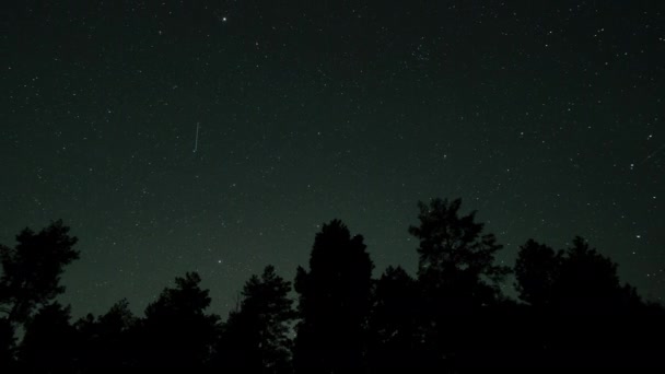 Timelapse Estrelas Movimento Céu Noturno Sobre Silhuetas Árvores — Vídeo de Stock