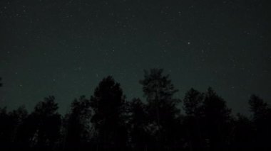 Gece gökyüzünde hareket eden yıldızların zaman çizelgesi ağaç siluetleri ve şafakta. 4K