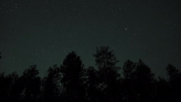 Timelapse Estrelas Movimento Céu Noturno Sobre Silhuetas Árvores Amanhecer — Vídeo de Stock