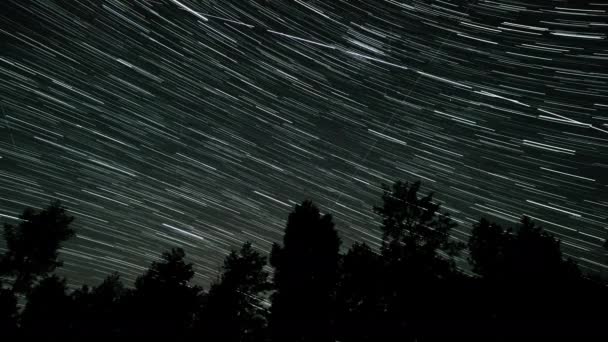 Tijd Verstrijken Van Star Trails Aan Nachtelijke Hemel Silhouetten Van — Stockvideo