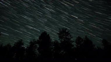 Kuyrukluyıldız şeklindeki yıldızların gece gökyüzünde orman boyunca zaman geçişi. 4K