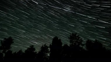 Kuyrukluyıldız şeklindeki yıldızların gece gökyüzünde orman boyunca zaman geçişi. 4K