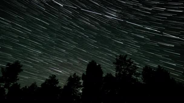 Kuyrukluyıldız Şeklindeki Yıldızların Gece Gökyüzünde Orman Boyunca Zaman Geçişi — Stok video