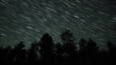 Gece gökyüzünde Yıldız 'ın zaman atlaması. Ağaç siluetleri 4K