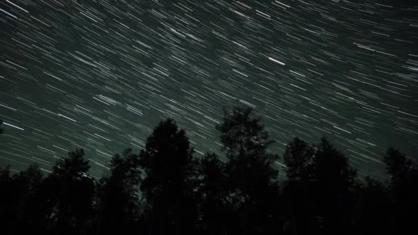 Gece Gökyüzünde Yıldız Zaman Atlaması Ağaç Siluetleri — Stok video