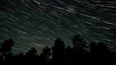 Kuyrukluyıldız şeklindeki yıldızların gece gökyüzünde orman boyunca zaman geçişi. 4K