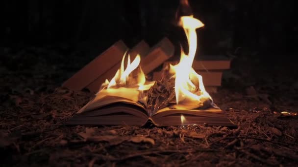 Open Book Fire Big Bright Flame Burning Paper Old Publication — Vídeos de Stock