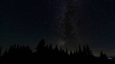 Samanyolu galaksisi ağaç siluetlerinin üzerinde. Yıldızlı gece arkaplanı.