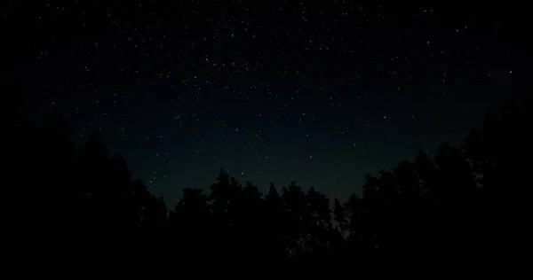 Gwiazdy Nocnym Niebie Nad Drzewami Sylwetki — Zdjęcie stockowe
