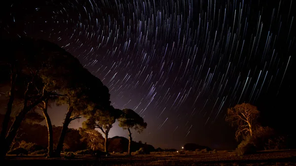 Star Trails Night Sky Trees Stars Move Polar Star — Stock Photo, Image