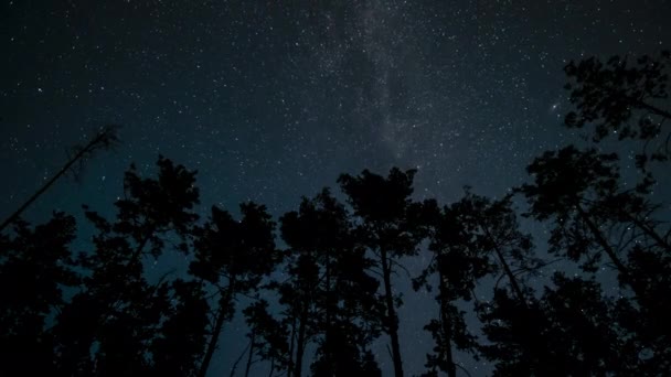 Тимелапс Галактики Чумацький Шлях Рухається Над Силуетами Дерев Зоряний Нічний — стокове відео